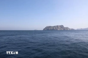 Xung đột tại Trung Đông: Một tàu hàng bị tấn công tại eo biển Hormuz