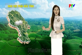 Dự báo thời tiết 28/6/2026