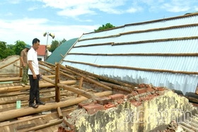 Xã Bình Phú kiểm tra, chỉ đạo khắc phục thiệt hại do giông lốc