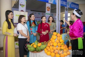 Biểu dương 20 gia đình tiêu biểu trong xây dựng gia đình hạnh phúc, làm kinh tế giỏi