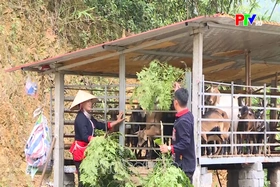 Điểm tựa của hạnh phúc