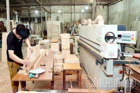 Thúc đẩy phát triển kinh tế tư nhân