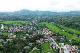 Lai Đồng trên hành trình khởi sắc