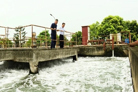 Xử lý nước thải tập trung - lá chắn cho môi trường