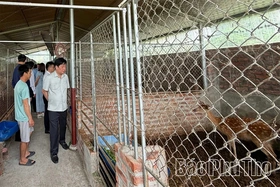 Yên Sơn khai mở tiềm năng nông nghiệp hàng hóa
