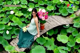 The summer scent of lotus