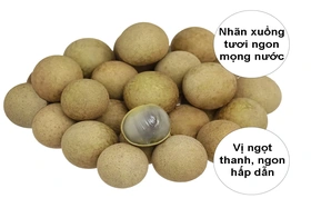 Giá cả thị trường ngày 1/7/2026
