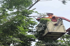 Điện lực Lập Thạch chủ động phát quang hành lang lưới điện, ứng phó với bão số 1
