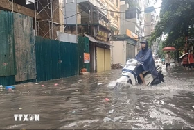 Thời tiết ngày 11/7: Khu vực Bắc Bộ và Trung Bộ mưa to, biển động mạnh