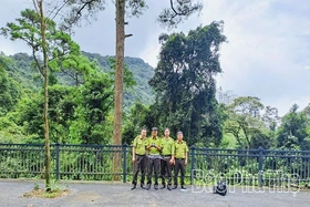 Hạt Kiểm lâm Tam Đảo - Tam Dương nâng cao hiệu quả quản lý, bảo vệ và phát triển rừng