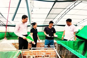 Mở lối cho người lầm lỡ