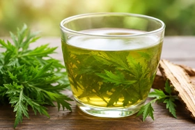 Có nên uống nước lá đinh lăng thay nước lọc hàng ngày?