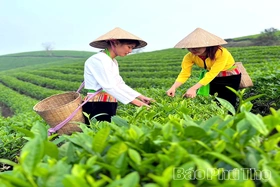 Mở lối du lịch xanh
