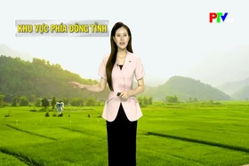 Dự báo thời tiết tỉnh Phú Thọ ngày 17/7/2026