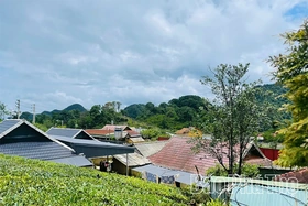Ước mơ ở lưng chừng núi