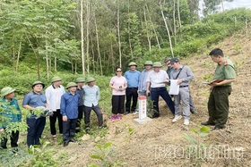 Tạo mặt bằng sạch, mở dư địa phát triển