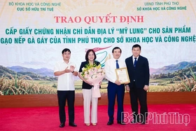 Phu Tho Unveils “My Lung” Geographical Indication for Ga Gay Glutinous Rice