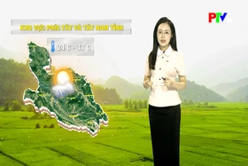 Dự báo thời tiết tỉnh Phú Thọ ngày 24/7/2026