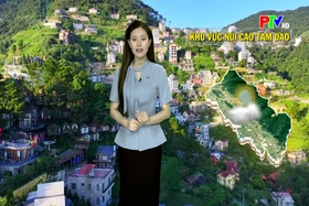 Dự báo thời tiết tỉnh Phú Thọ ngày 25/7/2026