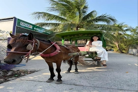 Tám Sạch đồng hành cùng xu hướng sống xanh bằng những sản phẩm cây cảnh chất lượng