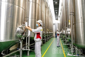 Chương trình OCOP - Động lực phát triển kinh tế nông thôn bền vững