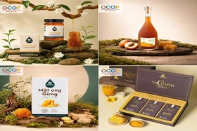 OCOP Program – A Driving Force for Sustainable Rural Economic Development