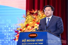 Plenary Session on Diplomacy Serving National Development in the New Period
