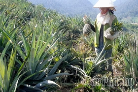 Hiệu quả giảm nghèo ở xã Trạm Thản