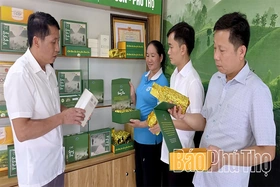 Hơi thở mới trên vùng cao Xuân Đài