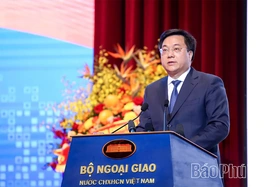 Phiên toàn thể về ngoại giao phục vụ phát triển đất nước trong giai đoạn mới