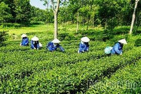 Động lực để nông dân thi đua phát triển kinh tế
