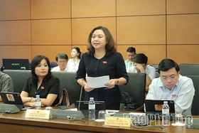 Đại biểu Quốc hội tỉnh Phú Thọ thảo luận một số dự án luật