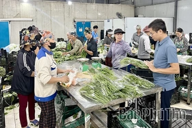 Hành trình nâng tầm nông sản