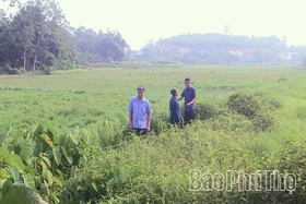 Mương bị lấp, người dân nhiều lần kiến nghị