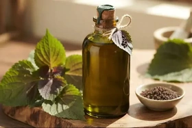 3 lợi ích của dầu tía tô với người ăn kiêng, giảm cân