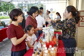 Tân Lạc mở hướng phát triển nông nghiệp hữu cơ