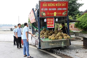 Giữ vững trật tự đô thị ở phường Âu Cơ