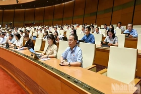 Quốc hội thảo luận ở hội trường về dự án Luật Phát triển đô thị