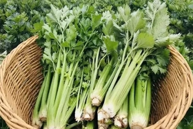 Top 5 loại rau củ hỗ trợ giảm acid uric