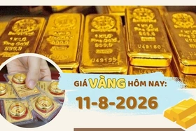 Giá vàng hôm nay 11-8: Tiếp tục tăng, hướng mốc 5.000 USD/ounce