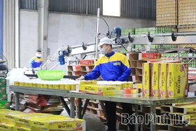 Để kinh tế tư nhân phát triển nhanh, bền vững
