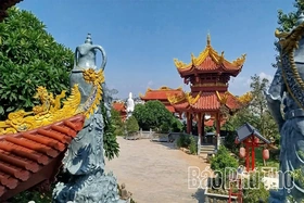 Thông tin ban đầu về vụ việc bạo hành trẻ em tại chùa Bầu