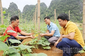 Lạc Lương tự lực vượt khó&nbsp;