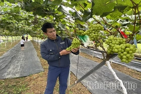 Tapping Rural Economic Potential Through Experiential Tourism