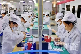 “Green Channel” Accelerates Investment