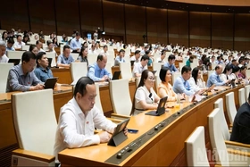 Quốc hội biểu quyết thông qua 6 luật, thảo luận sửa đổi Bộ luật Hình sự