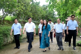 Phát triển nông nghiệp quy mô lớn, công nghệ cao gắn với sinh thái, chế biến sâu và du lịch trải nghiệm