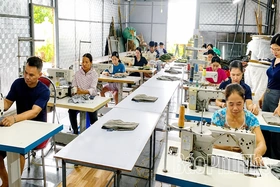 Hỗ trợ đào tạo nghề, trang bị kỹ năng số cho nông dân