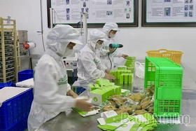 Hình thành 217 chuỗi cung ứng thực phẩm nông, lâm, thủy sản an toàn