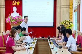 Khảo sát xây dựng Dự án hỗ trợ nông dân sản xuất chè hữu cơ và phát triển du lịch nông nghiệp